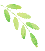 民法典中关于旅游的法律规定